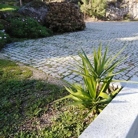 Willa Quinta Souto Da Ordem - House Castelo Novo Zewnętrze zdjęcie