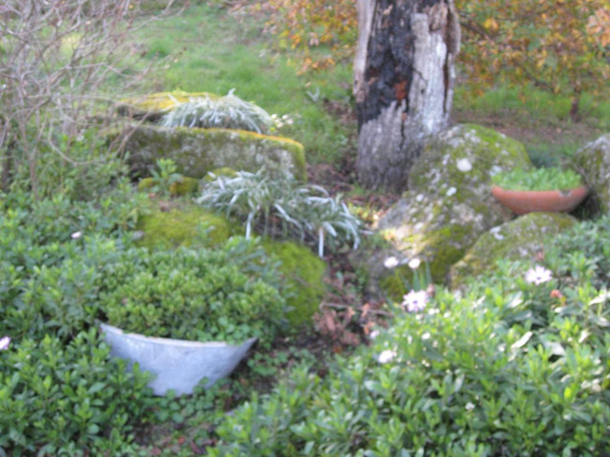 Holiday home Quinta Souto Da Ordem - House