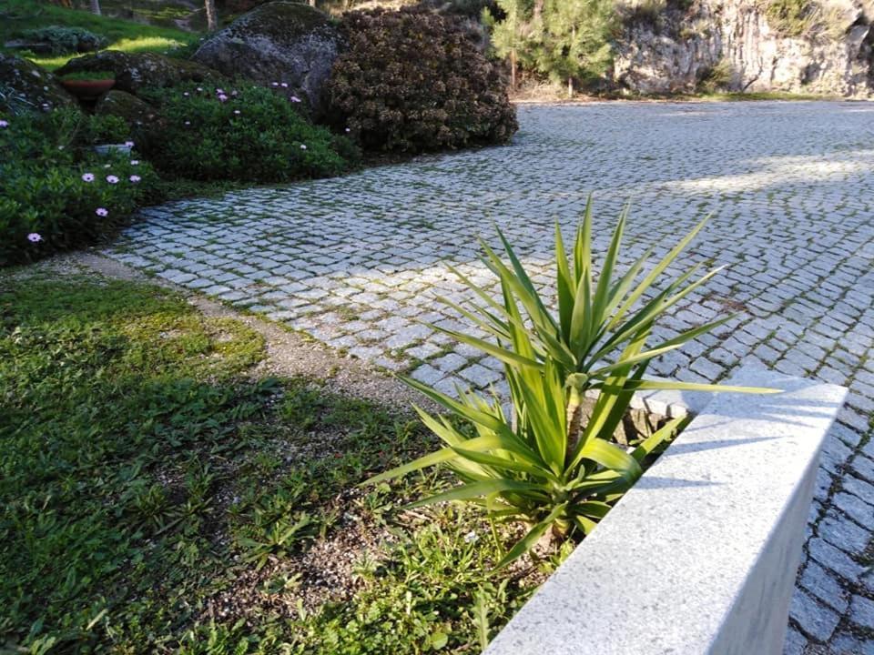 Quinta Souto Da Ordem - House Holiday home *