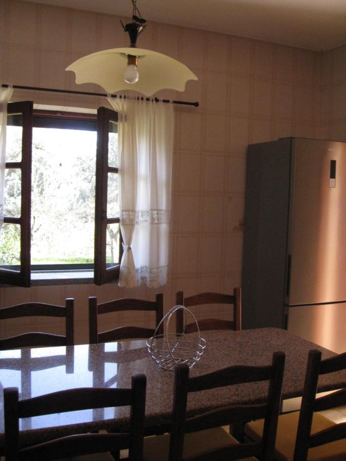 Quinta Souto Da Ordem - House *