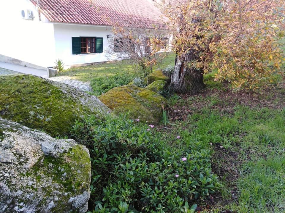 Quinta Souto Da Ordem - House Holiday home