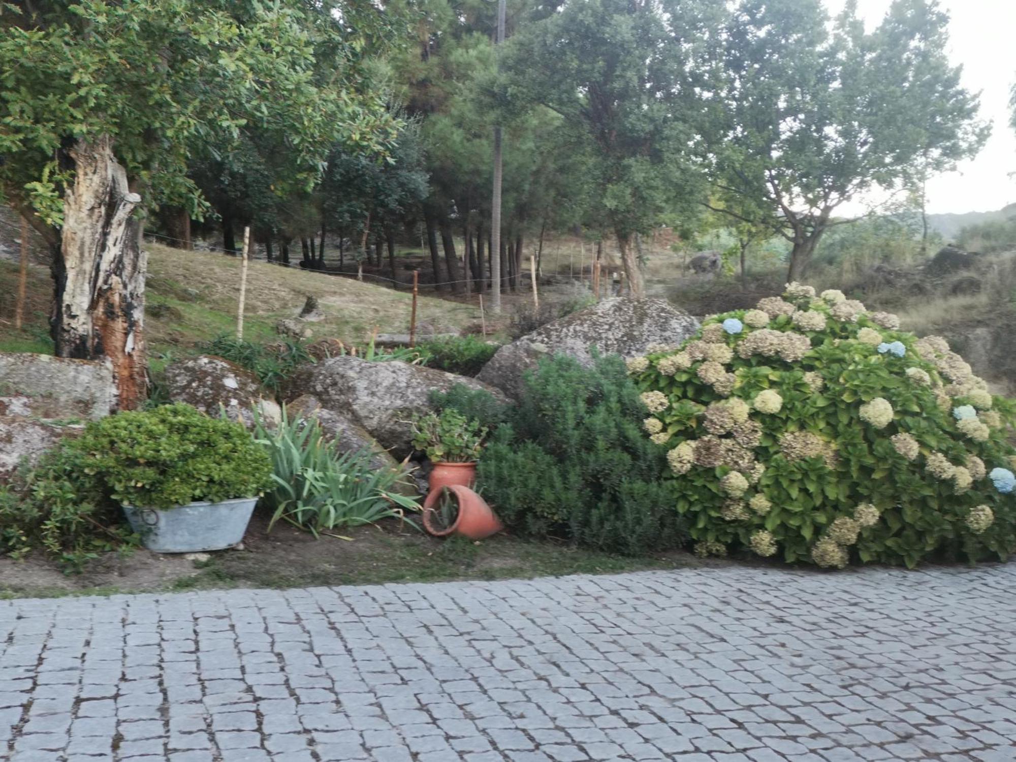 Quinta Souto Da Ordem - House Holiday home
