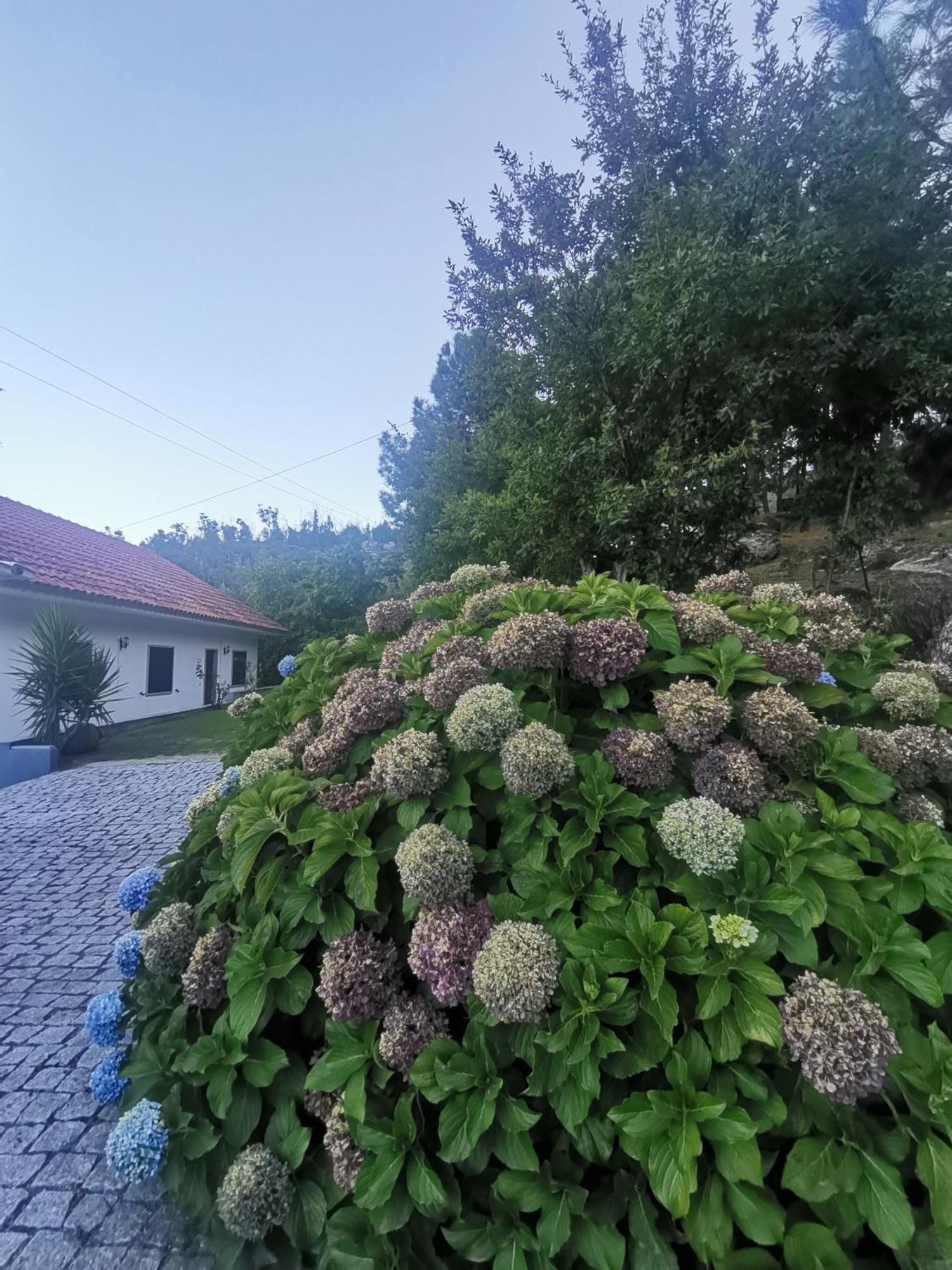 Quinta Souto Da Ordem - House * Castelo Novo